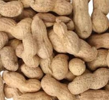 فروش بادام زمینی با قلاف
