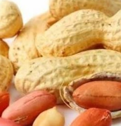 فروش بادام زمینی بی قلاف