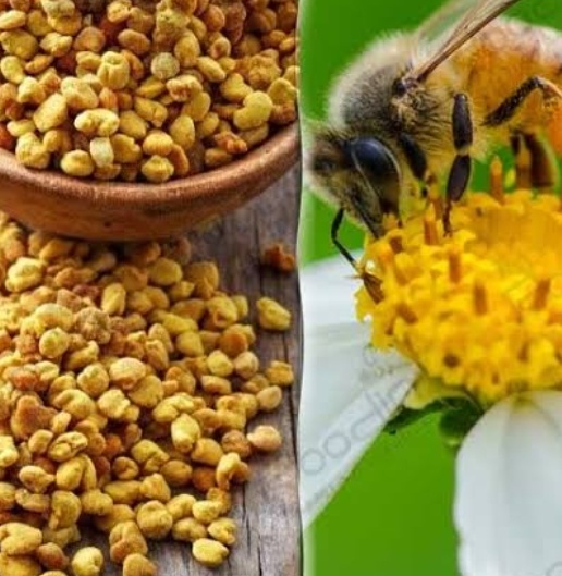 فروش گرده گل