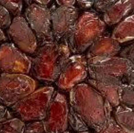 فروش خرما کبکاب