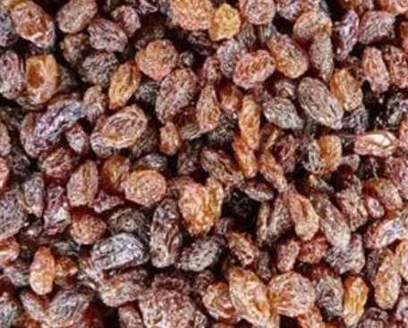 فروش کشمش ابگیری