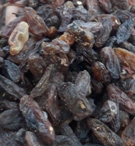 فروش کشمش ملایری