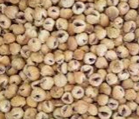 فروش انجیر خشک