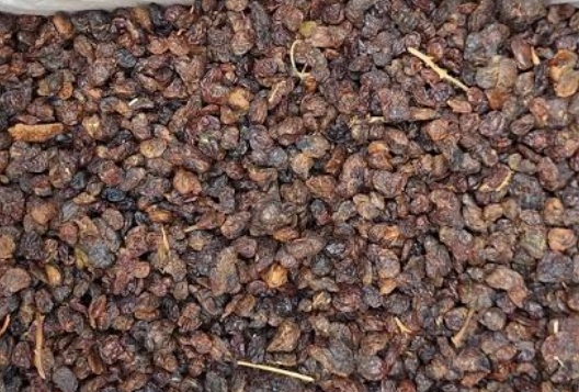 فروش کشمش آبگیری شیرازی