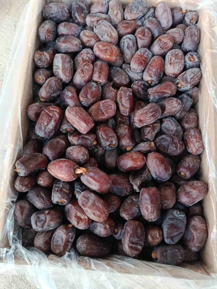 فروش خرما کلوته