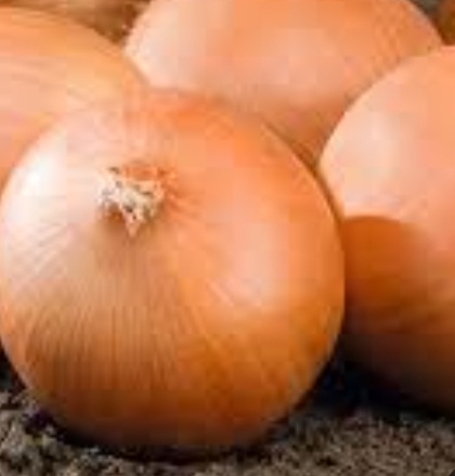 فروش پیاز زرد