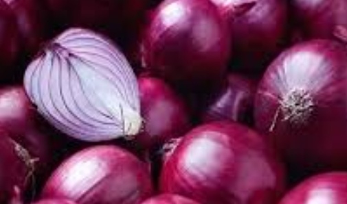 فروش پیاز قرمز
