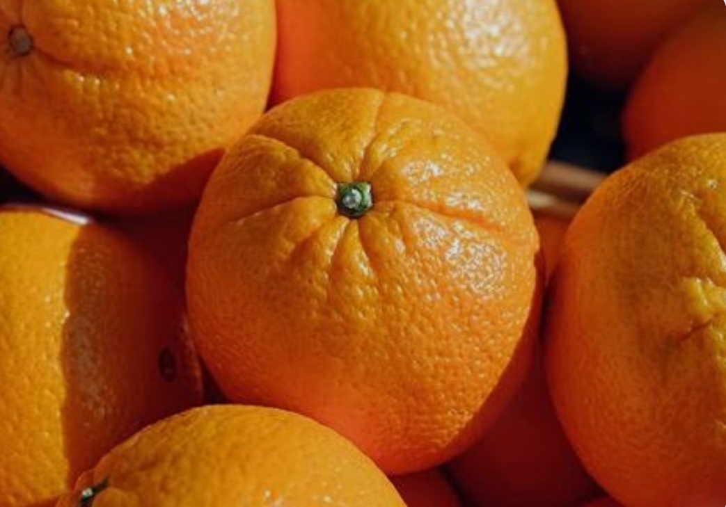 فروش پرتقال تامسون