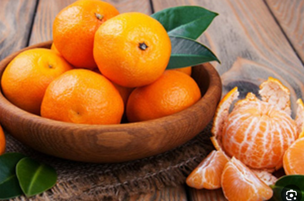 فروش نارنگی