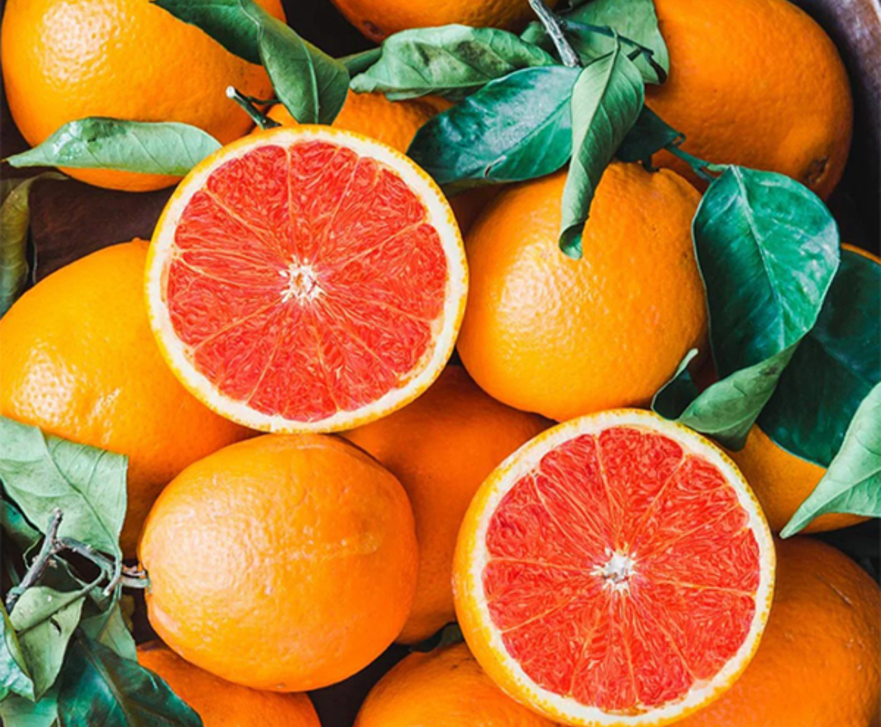 فروش پرتقال خونی