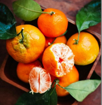 فروش نارنگی