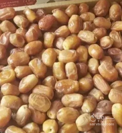 فروش خرما زاهدی