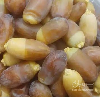 فروش رطب