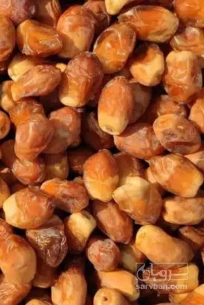 فروش خرما مضافتی
