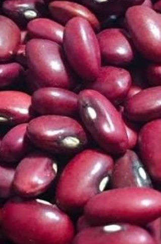 فروش لوبیا قرمز