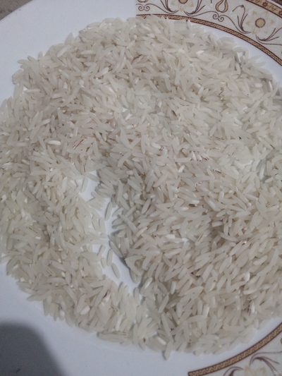 فروش برنج