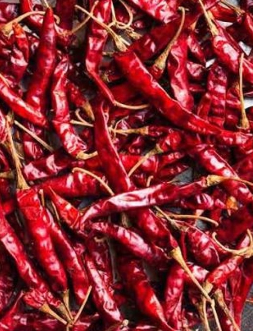 فروش فلفل خشک