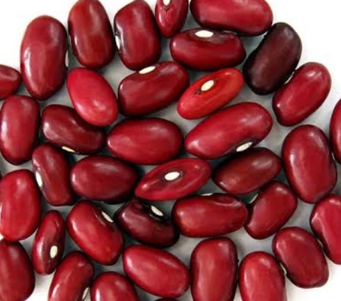 فروش لوبیا قرمز