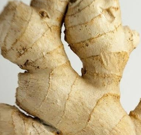 فروش زنجبیل (گیاه‌ دارویی)