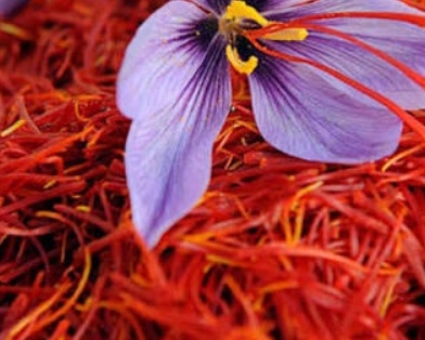 فروش زعفران دسته