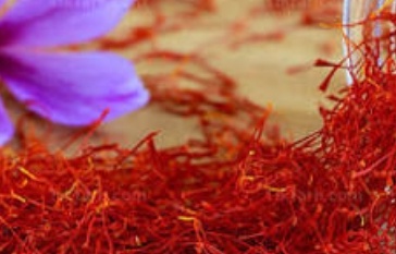 فروش زعفران  سرگل(گیاه‌ دارویی)