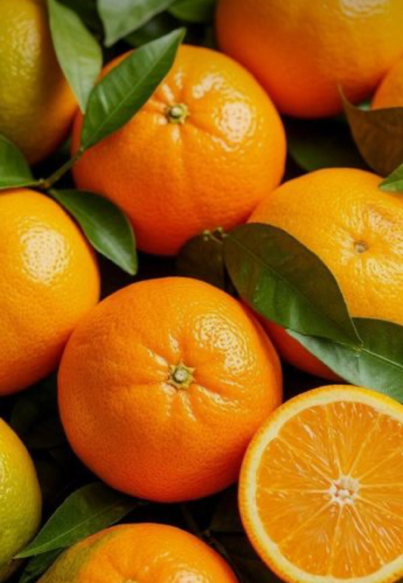 فروش پرتقال تامسون