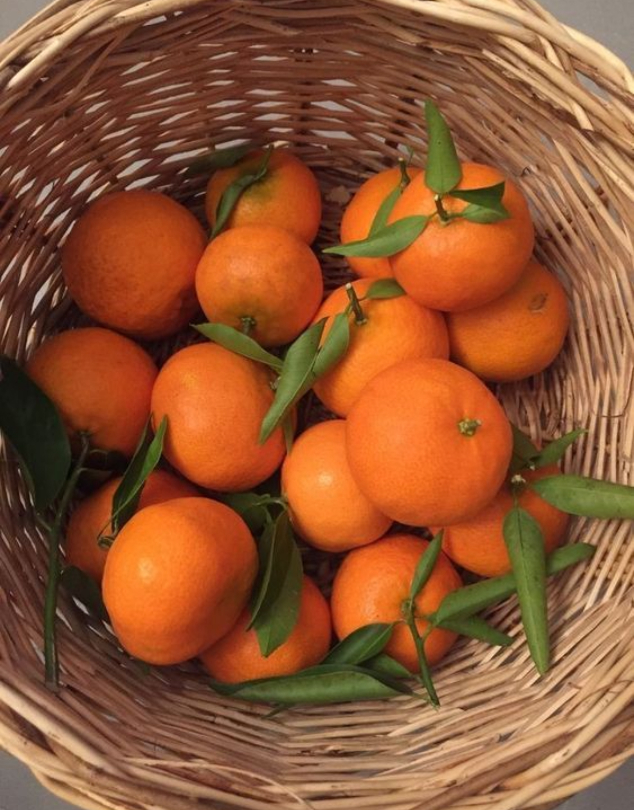 فروش نارنگی ژاپنی