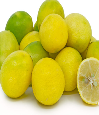 فروش لیمو ترش