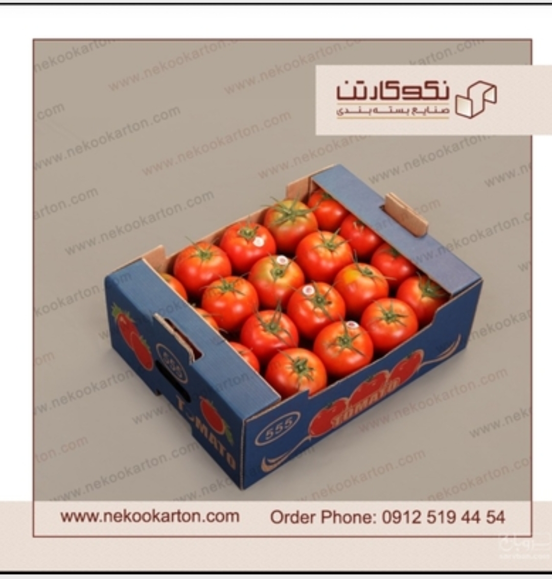 فروش کارتن گوجه صادراتی ولیبل