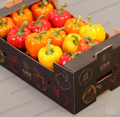 فروش تولید کارتن