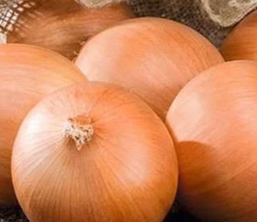 فروش پیاز زرد