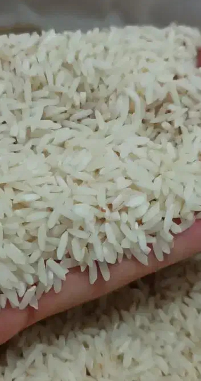 فروش برنج