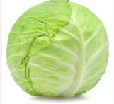 فروش کلم سبز