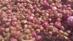فروش پیازقرمز