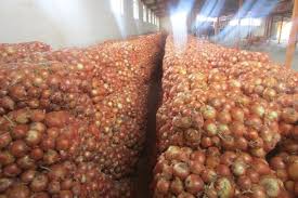 فروش پیازطلایی