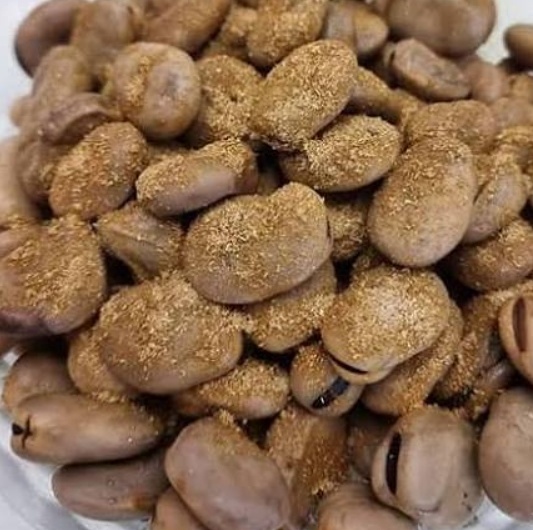 فروش باقلا تازه - باقالی - باقالا