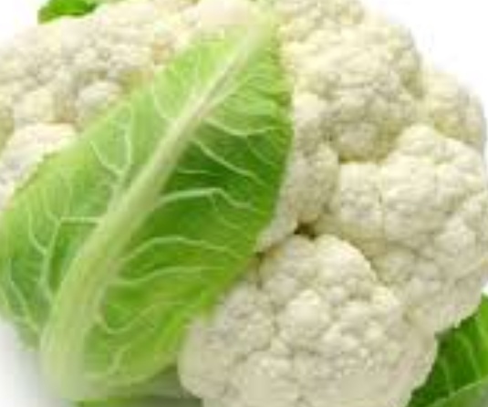 فروش گل کلم