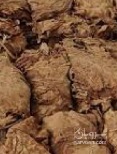 فروش تنباکو برازجانی شیرین  (گیاه‌ دارویی)