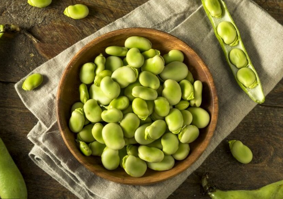 فروش باقلا تازه - باقالی - باقالا