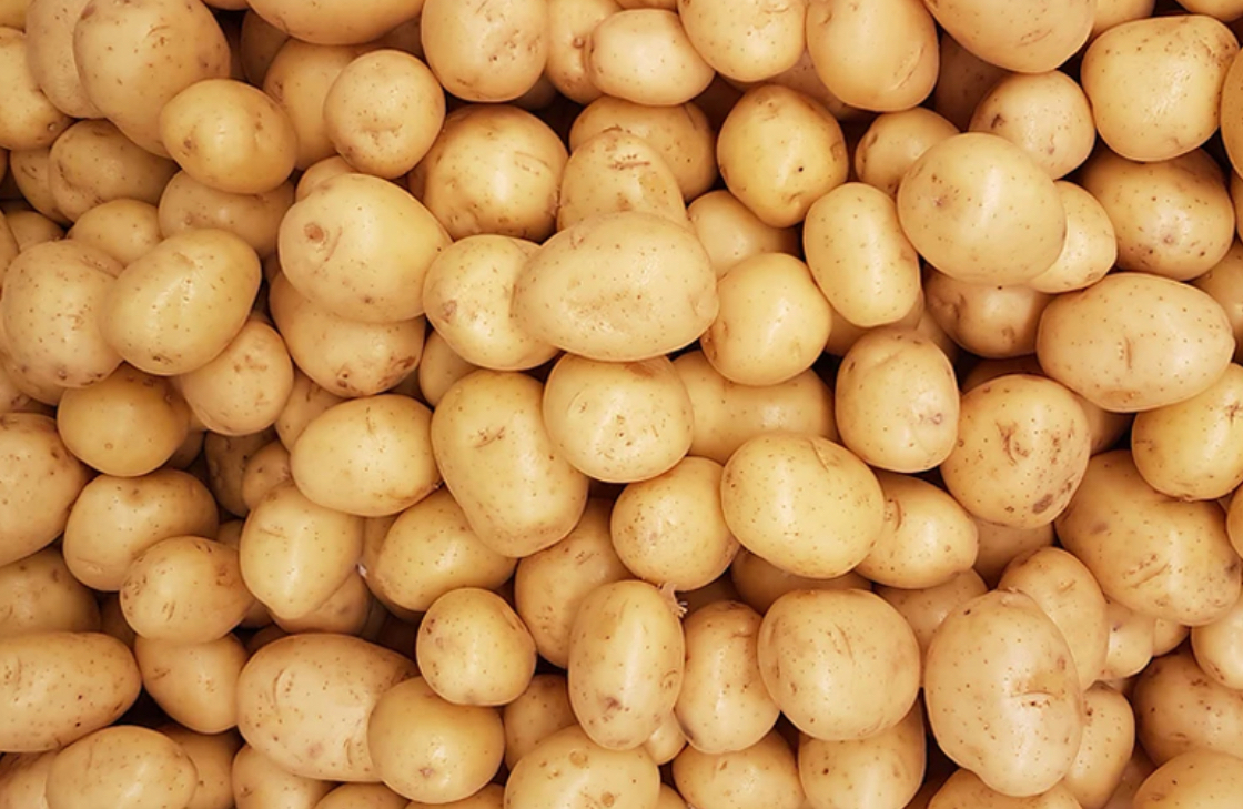 فروش سیب زمینی
