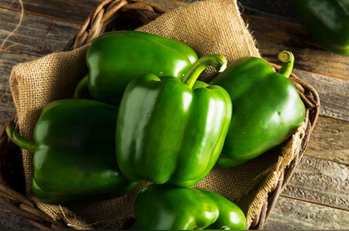 فروش فلفل دلمه ای