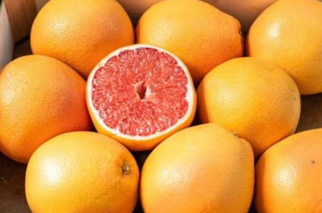 فروش گریپ فوروت