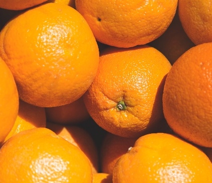 فروش پرتقال