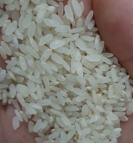 فروش برنج