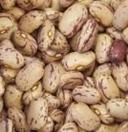 فروش لوبیا چیتی