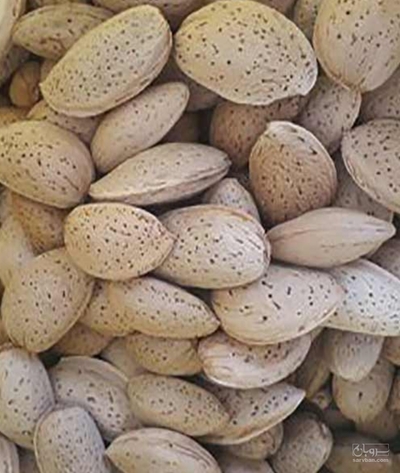 فروش بادام