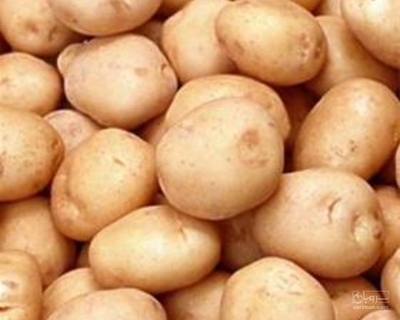 فروش سیب زمینی