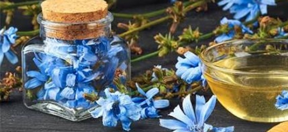 فروش عرق کاسنی