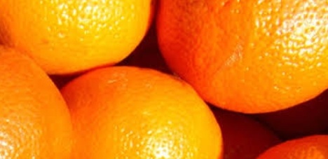 فروش پرتقال