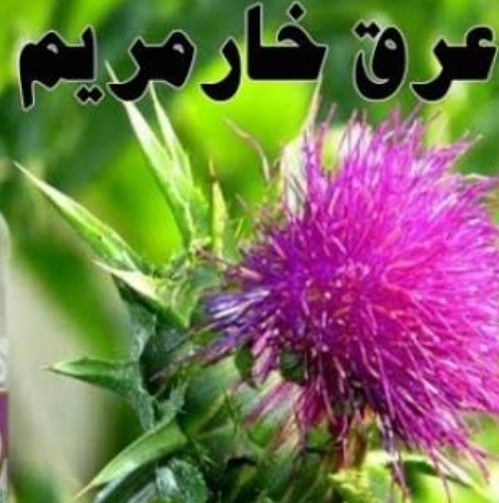 فروش عرق خارمریم